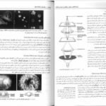 کتاب زیست شناسی سلولی،مولکولی و مهندسی ژنتیک مجید مهدوی دانلود PDF