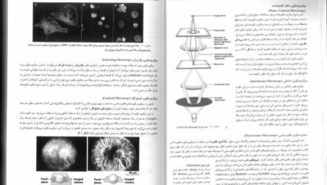 کتاب زیست شناسی سلولی،مولکولی و مهندسی ژنتیک مجید مهدوی دانلود PDF