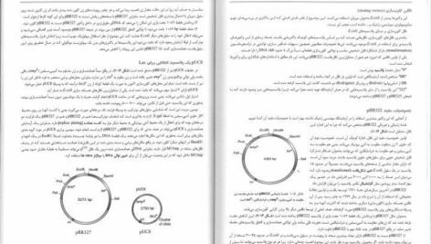 کتاب زیست شناسی سلولی،مولکولی و مهندسی ژنتیک مجید مهدوی دانلود PDF