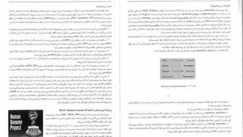 کتاب زیست شناسی سلولی،مولکولی و مهندسی ژنتیک مجید مهدوی دانلود PDF