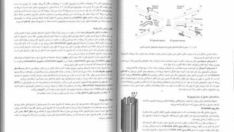 کتاب زیست شناسی سلولی،مولکولی و مهندسی ژنتیک مجید مهدوی دانلود PDF