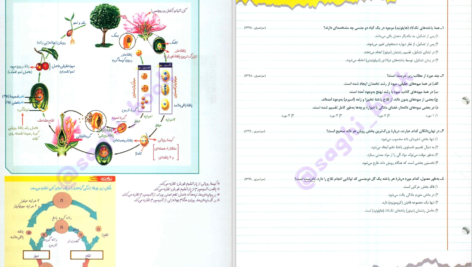 کتاب زیست شناسی جامع زیر ذره بین دانلود PDF