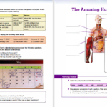 کتاب active skills for reading 2 نیل جی آندرسون دانلودPDF