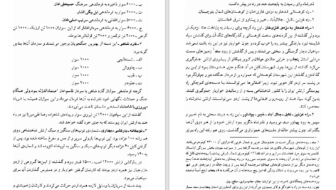کتاب نادر پسر شمشیر نورالله لارودی دانلود PDF