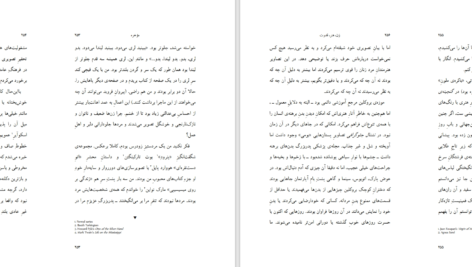 کتاب زن، هنر، قدرت لیندا ناکلین دانلود PDF