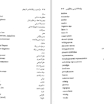 کتاب درآمدی بر زبان شناسی تاریخی آنتونی آرلاتو دانلود PDF